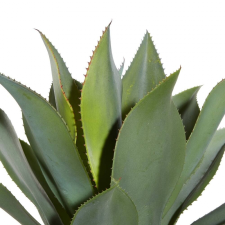 Pom Artificial Agave cu 3 Tulpini, pentru Decor Interior si Exterior, 180cm Verde [2]