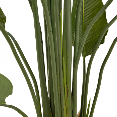 Copac artificial STRELITZIA, Fara Ghiveci Inclus, 180cm, Culoare Verde [3]