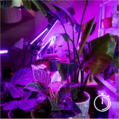 Lampa UV Full Spectrum pentru Cresterea Plantelor– 30W, 3 Brate Flexibile, Temporizator, 9 Trepte de Intensitate [2]