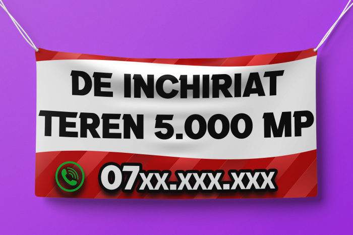 Banner "DE INCHIRIAT" [3]
