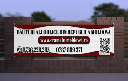 Bannere publicitare/stradale [1]