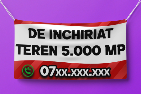 Banner "SPATII DE INCHIRIAT" [1]