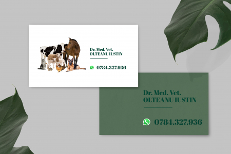 Cărţi de vizită personalizate - Medic Veterinar