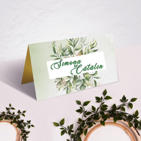 Plic pentru dar, model "Green Design"