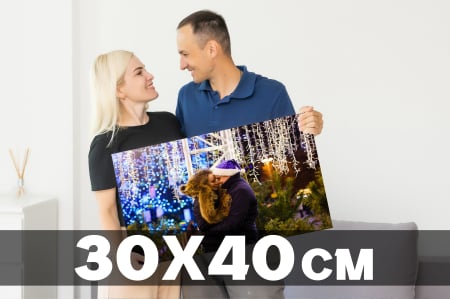 Tablouri canvas - Tablou pe panza canvas 30x40cm