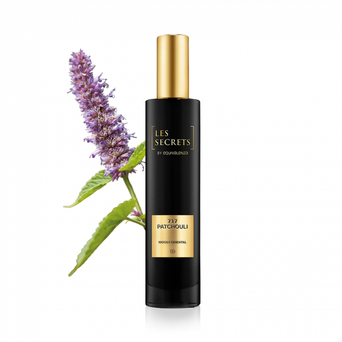 Apa de Parfum Patchouli 717 Les Secrets, Unisex, 100ml