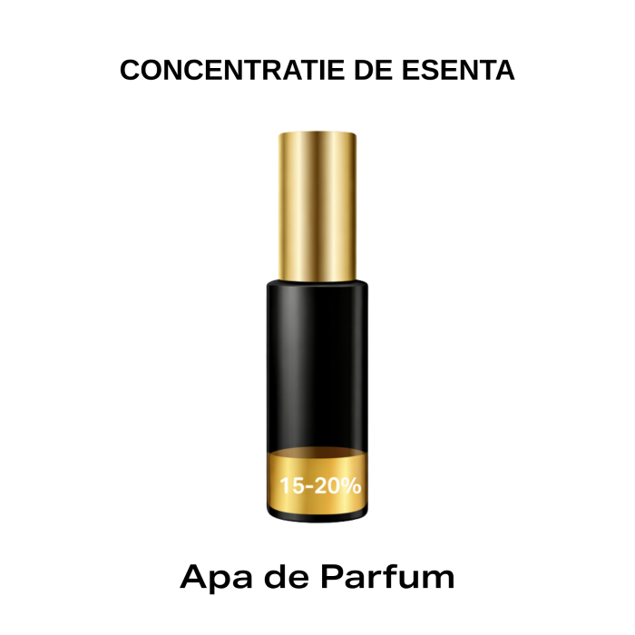 Apa de Parfum Patchouli 717 Les Secrets, Unisex, 50ml [3]