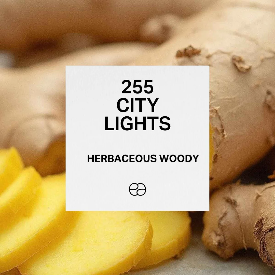 Apa de Toaleta 255 City Light, Barbati, 100 ml [2]