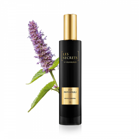 Apa de Parfum Patchouli 717 Les Secrets, Unisex, 50ml