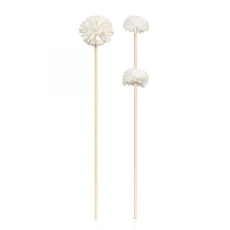 Accesorii - Difuzor in forma de papadie pentru parfumul de casa