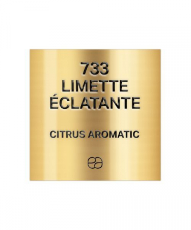  Refill parfumuri unisex - Refill Apa de Parfum Limette Eclatante 733, Unisex, 50 ml