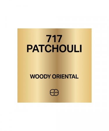  Refill parfumuri unisex - Refill Apa de Parfum Patchouli 717, Unisex, 50 ml