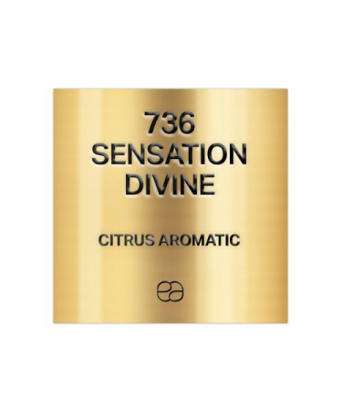  Refill parfumuri unisex - Refill Apa de Parfum Sensation Divine 736, Unisex, 50 ml