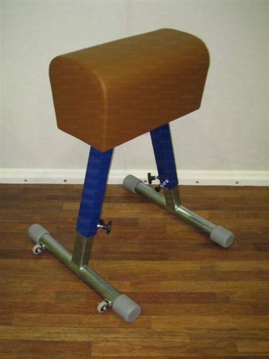 Capra gimnastica scolara [3]
