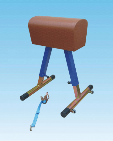 Gimnastică - Capra gimnastica scolara