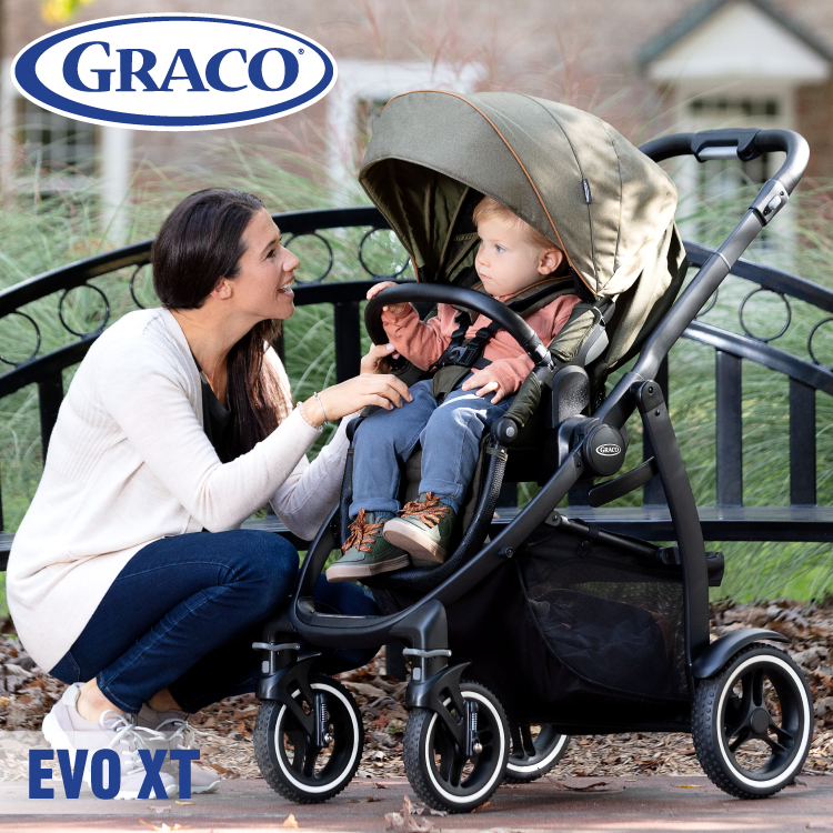 Carucior Graco Evo XT Black [9]
