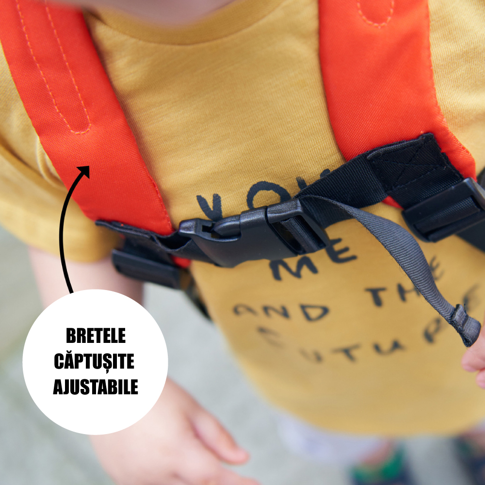 Rucsac si curea de siguranta Diono Sure Steps Fox [5]