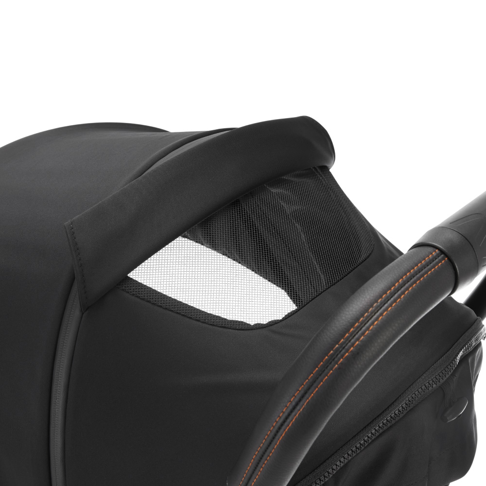 Carucior Avova City Ranger Black Gold [4]