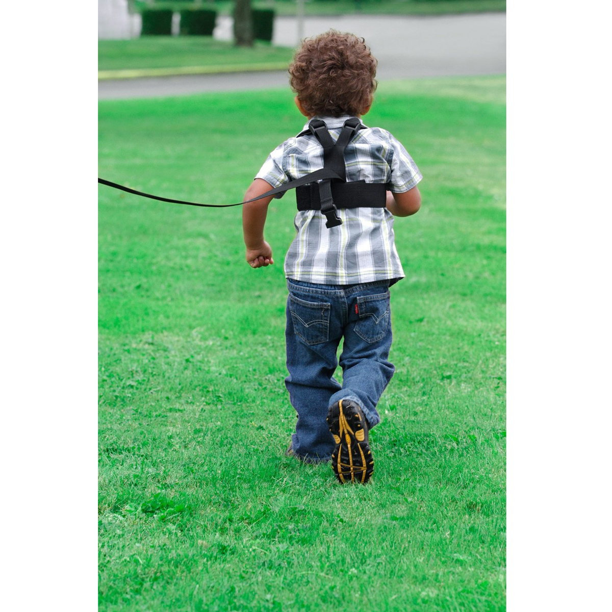 Hamuri Bebelusi Sure Steps [4]