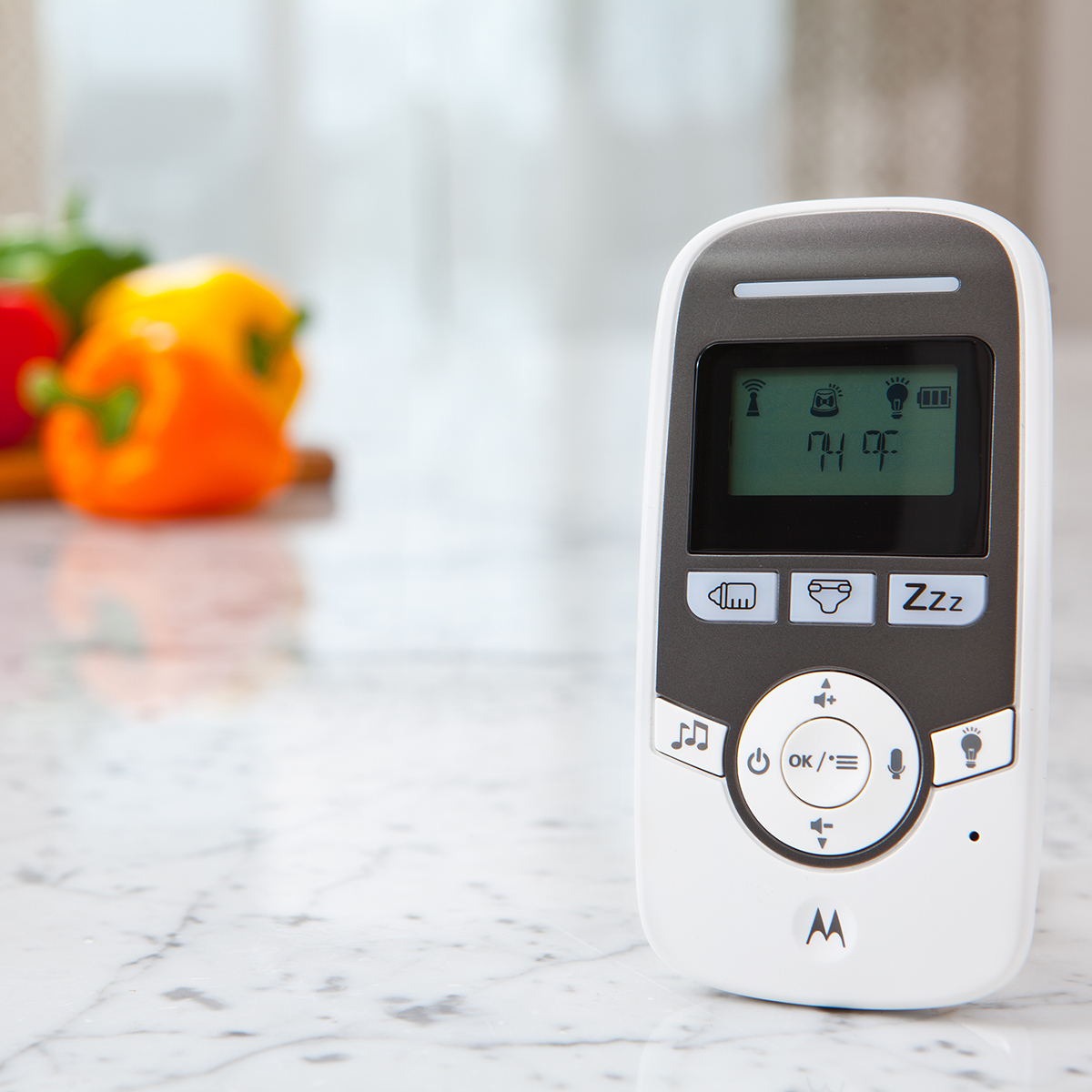 Audio Monitor Digital Bidirectional Motorola MBP161 [6]