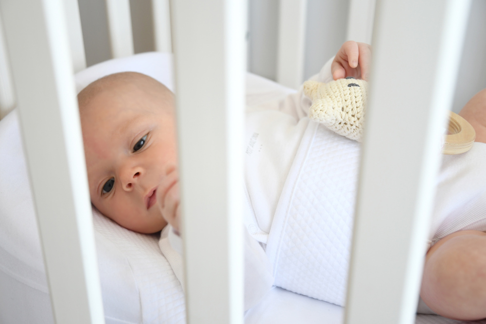 Baby nest ergonomic Red Castle Cocoonababy 10° Flori de Bumbac [3]