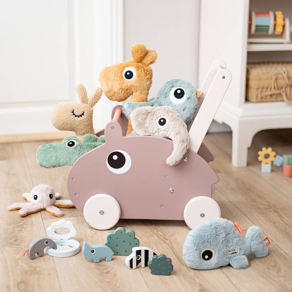 Jucarie de impins Done by Deer din lemn Ozzo Powder [7]