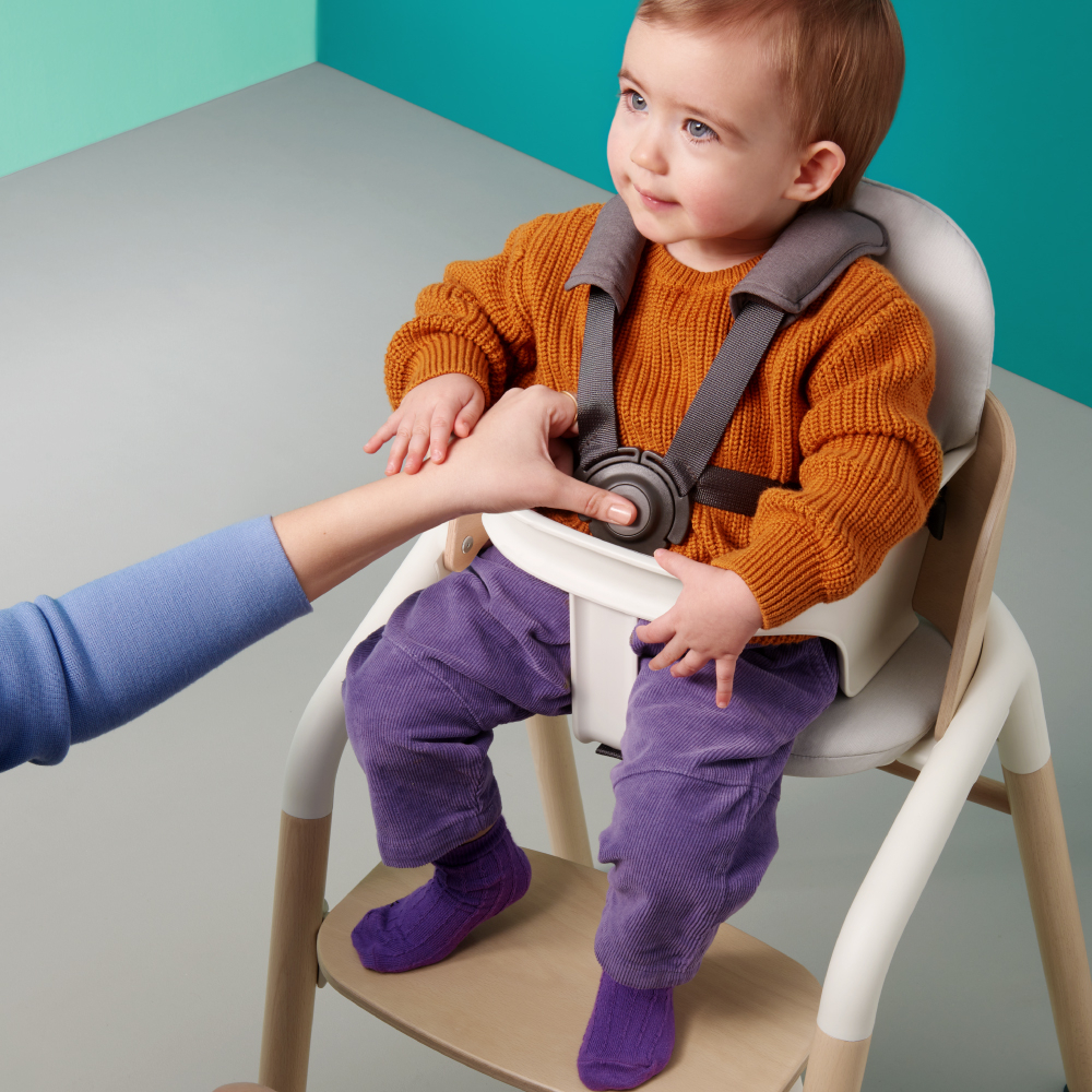 Set bebelusi pentru scaun Bugaboo Giraffe Grey [3]