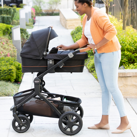 Landou Graco Near2Me Elite Noir [4]