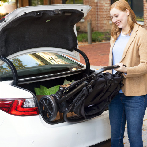 Carucior Graco EeZeFold Midnight [6]