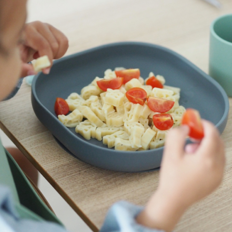 Farfurie silicon cu ventuza Beaba Mineral Grey [1]