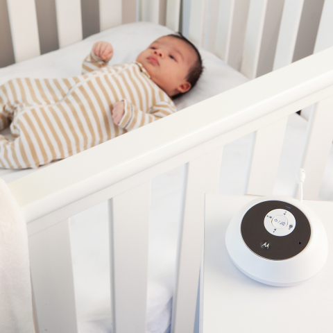 Audio Monitor Digital Bidirectional Motorola MBP161 [13]