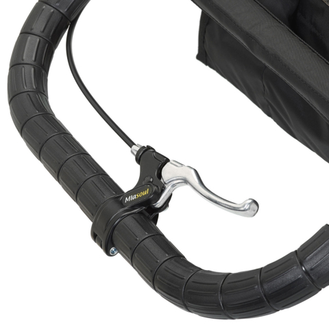 Carucior City Elite Editie Aniversara sistem 2 in 1 [2]