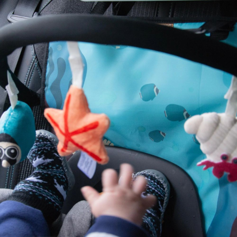 Arcada de activitati pentru scaun auto Ezimoov [1]