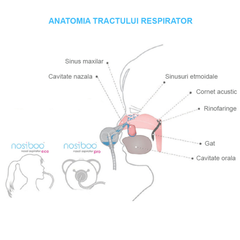 Aspirator nazal electric Nosiboo Pro Vernil [5]
