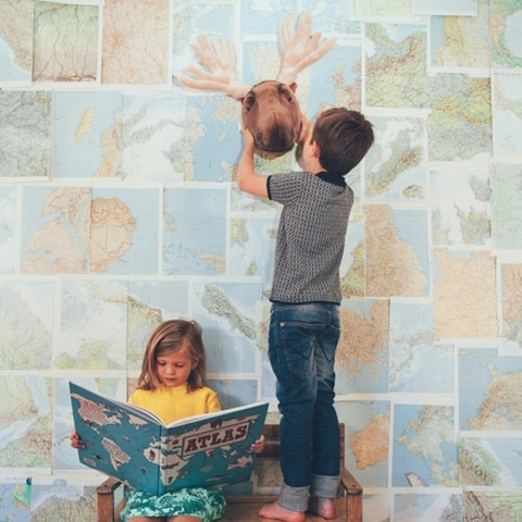 Decoratiune Wild & Soft Cap de Elan - Alfred [3]