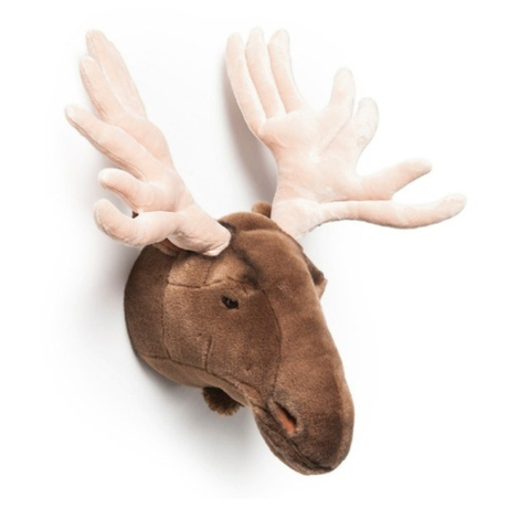 Wild & Soft - Decoratiune Wild & Soft Cap de Elan - Alfred