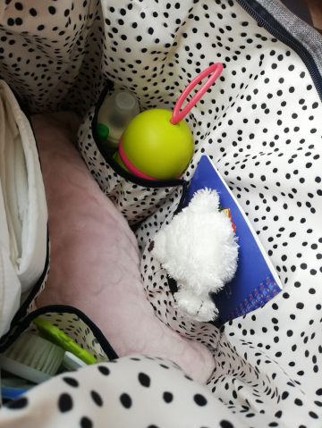 Geanta duffle Baby On Board Baby Girl [9]