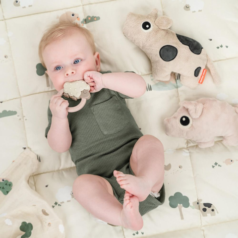 Jucarie de plus Done by Deer Cuddle Cute Dotti Sand [3]