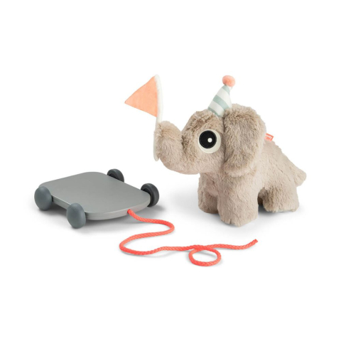 Jucarie Push Along 2 in 1 Done by Deer Elefant Sand [1]