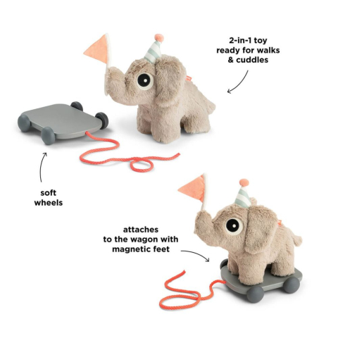Jucarie Push Along 2 in 1 Done by Deer Elefant Sand [2]
