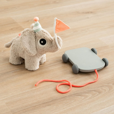 Jucarie Push Along 2 in 1 Done by Deer Elefant Sand [5]