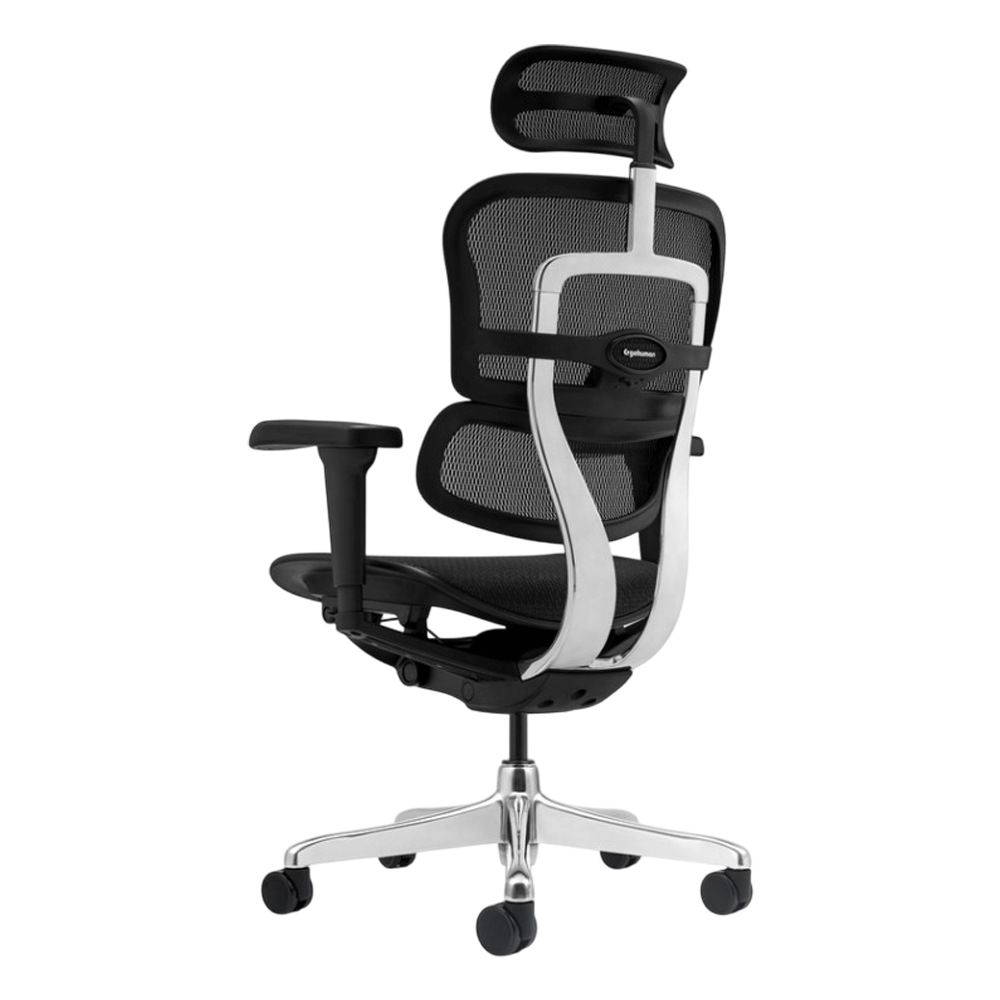 Scaun birou mesh Ergohuman negru [6]