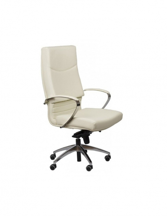 Scaun birou piele naturala 5600 [2]