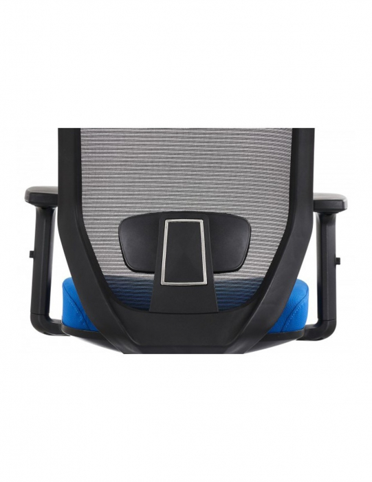 Scaun ergonomic mesh Zen albastru-negru cu spatar ventilat [6]