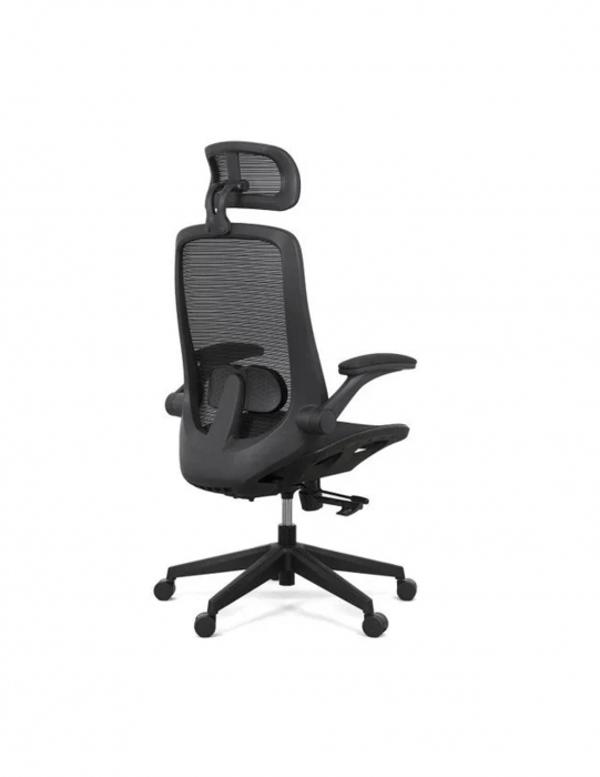 Scaun ergonomic multifunctional SYYT 9509 [7]