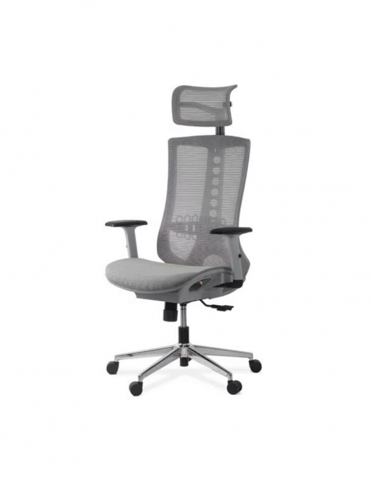 Scaun ergonomic multifunctional SYYT 9510 [2]