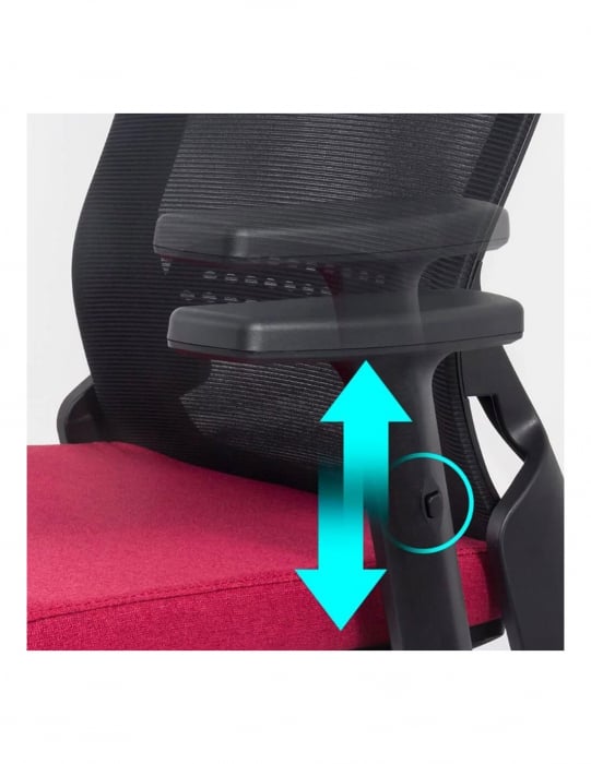 Scaun ergonomic SYYT 9504 [5]