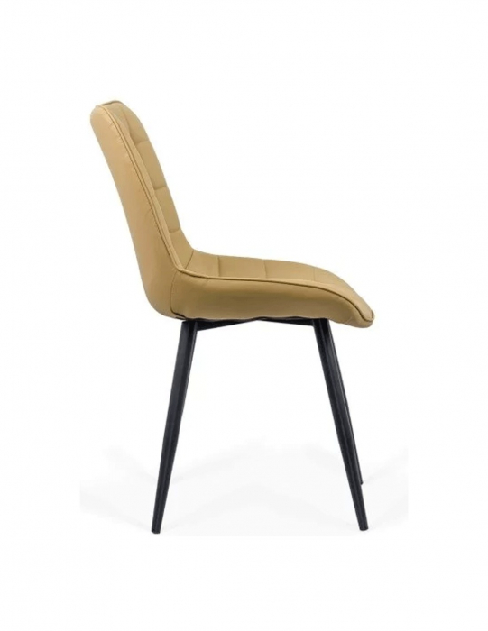 Scaun living BUC 206P [10]