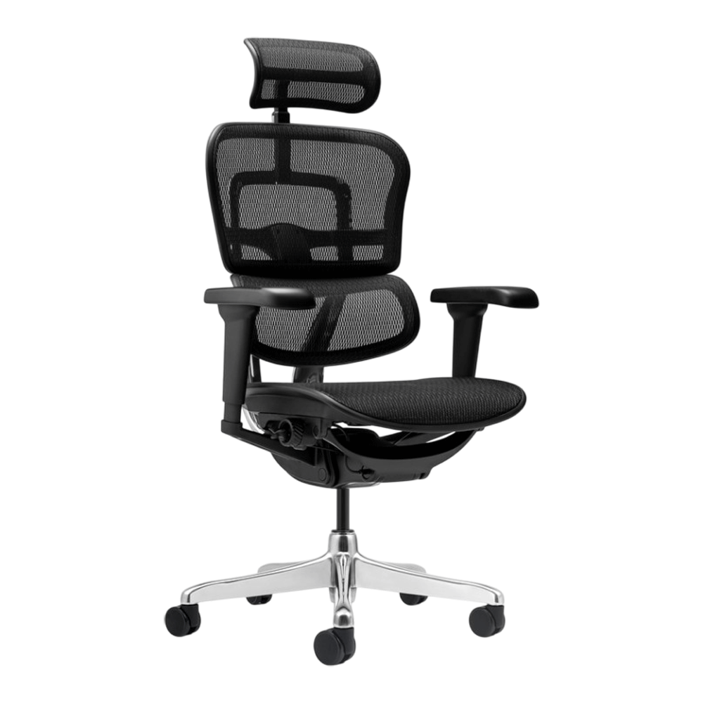 Scaun birou mesh Ergohuman negru [1]
