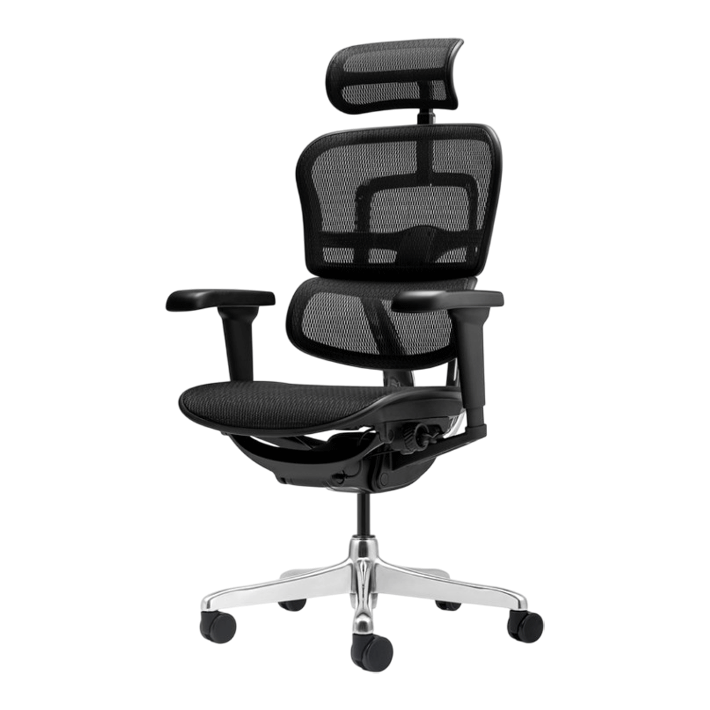 Scaune birou - Scaun birou mesh Ergohuman negru